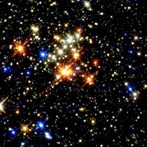 Meet your Posher, Mikaela